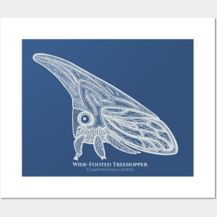 Treehopper with Common and Latin Names - cut insect design Posters and Art